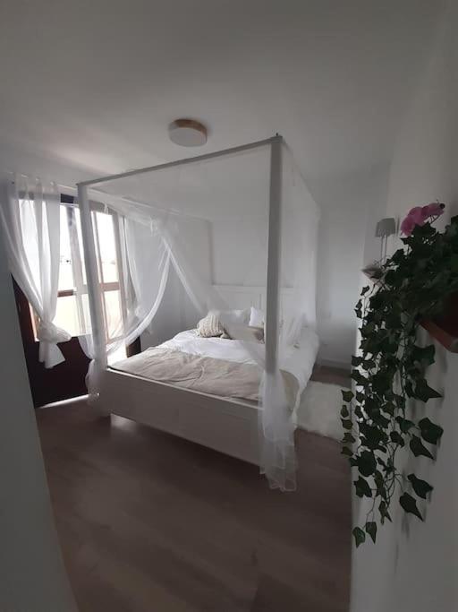 Hébergement de vacances Casa Completa Loredo
